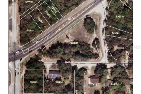 Terreno en venta en Mount Plymouth, Florida № 1424910 - foto 1