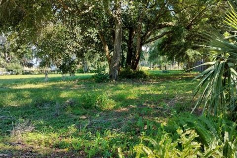 Terreno en venta en Inverness, Florida № 1335230 - foto 17