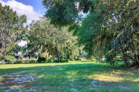 Terreno en venta en Inverness, Florida № 1335230 - foto 14