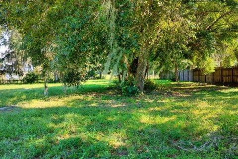 Terreno en venta en Inverness, Florida № 1335230 - foto 5