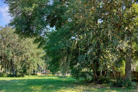 Land in Inverness, Florida № 1335230 - photo 6