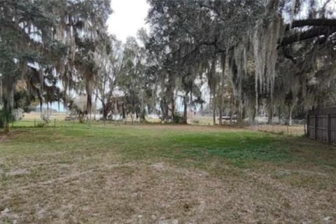 Terreno en venta en Inverness, Florida № 1335230 - foto 8