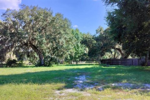 Land in Inverness, Florida № 1335230 - photo 15