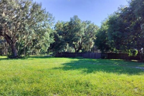 Terreno en venta en Inverness, Florida № 1335230 - foto 1