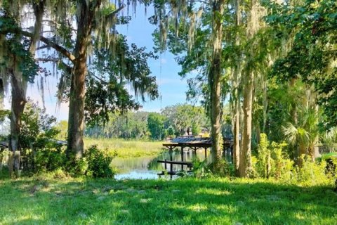 Terreno en venta en Inverness, Florida № 1335230 - foto 2