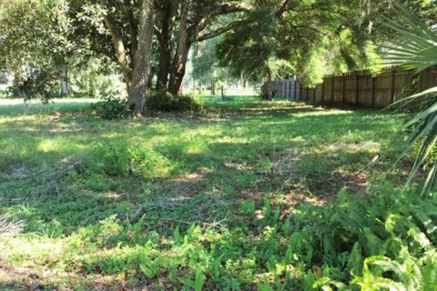 Terreno en venta en Inverness, Florida № 1335230 - foto 4