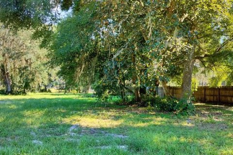 Terreno en venta en Inverness, Florida № 1335230 - foto 7