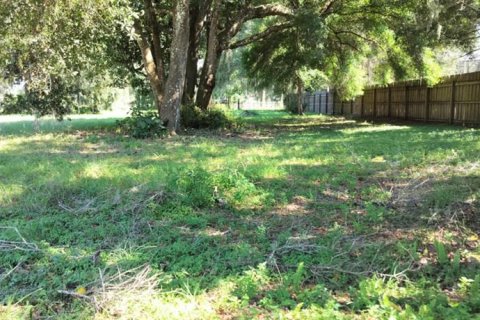 Terreno en venta en Inverness, Florida № 1335230 - foto 16