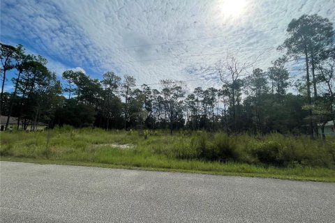 Купить земельный участок в Уэсли-Чепел, Флорида № 1084665 - фото 4
