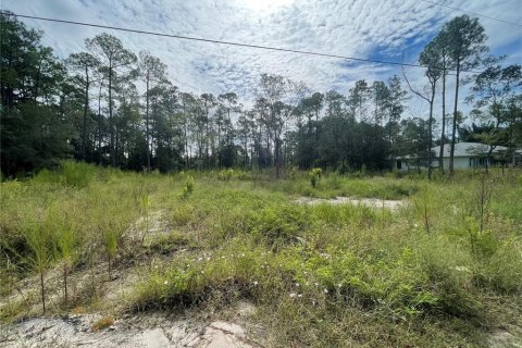 Купить земельный участок в Уэсли-Чепел, Флорида № 1084665 - фото 7