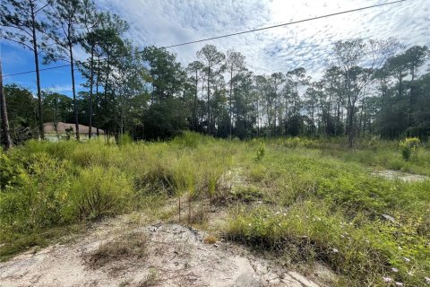 Купить земельный участок в Уэсли-Чепел, Флорида № 1084665 - фото 8