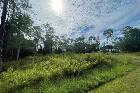 Купить земельный участок в Уэсли-Чепел, Флорида № 1084665 - фото 3
