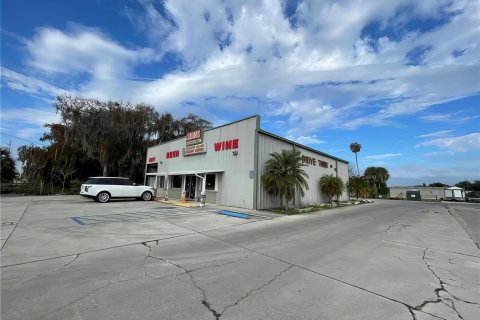 Propiedad comercial en venta en Okeechobee, Florida № 992019 - foto 20