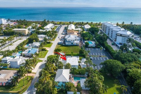 Villa ou maison à vendre à Delray Beach, Floride: 3 chambres, 220.36 m2 № 827796 - photo 10