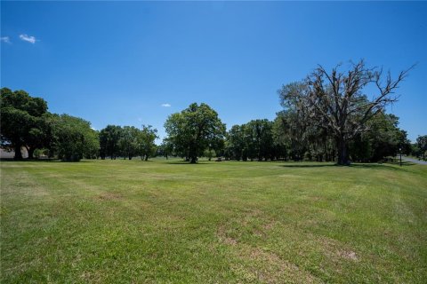 Terrain à vendre à Ocala, Floride № 979756 - photo 4