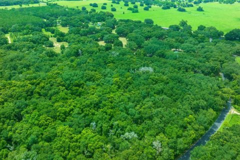 Купить земельный участок в Вейрсдейл, Флорида № 1308627 - фото 20