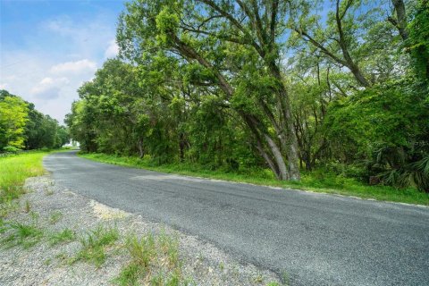 Land in Weirsdale, Florida № 1308627 - photo 3