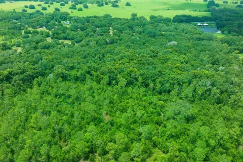 Land in Weirsdale, Florida № 1308627 - photo 21