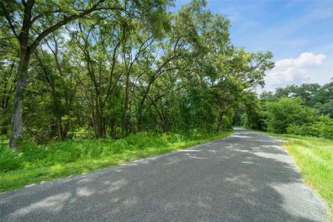 Land in Weirsdale, Florida № 1308627 - photo 4