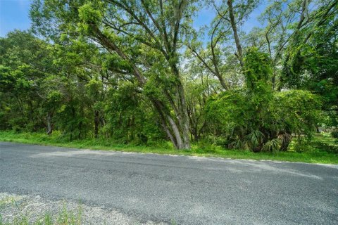 Land in Weirsdale, Florida № 1308627 - photo 5