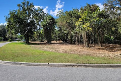 Terreno en venta en Ocala, Florida № 213975 - foto 1