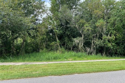 Terreno en venta en Plant City, Florida № 1365199 - foto 2