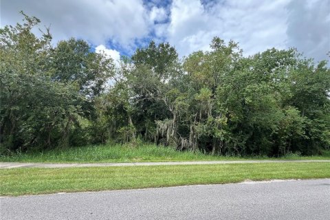 Terreno en venta en Plant City, Florida № 1365199 - foto 1