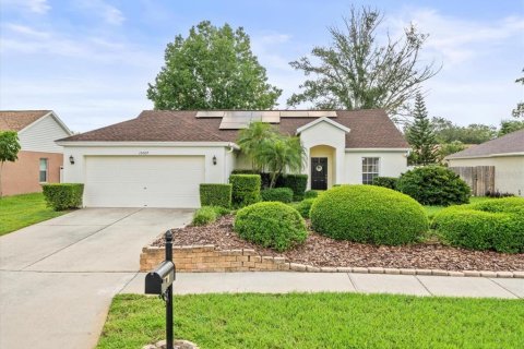 Villa ou maison à vendre à Tampa, Floride: 3 chambres, 154.68 m2 № 1317133 - photo 1