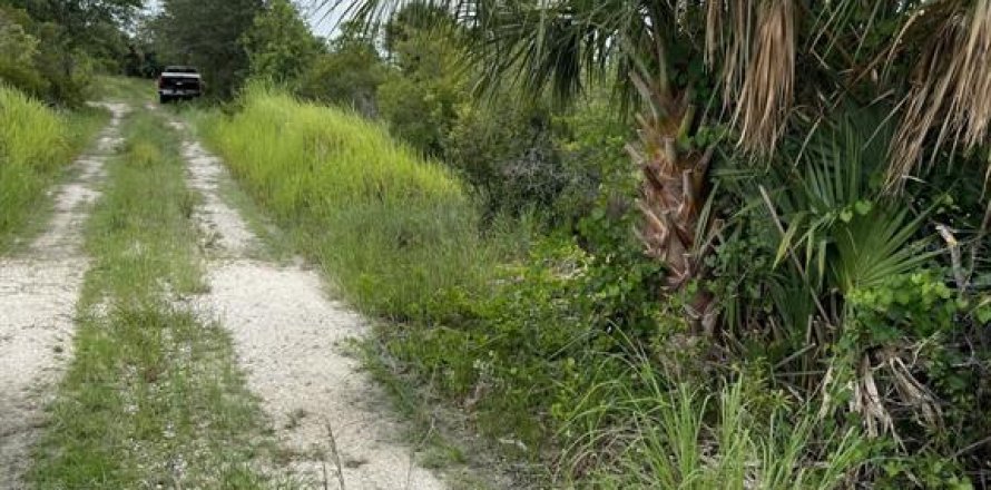 Terrain à Punta Gorda, Floride № 1367806