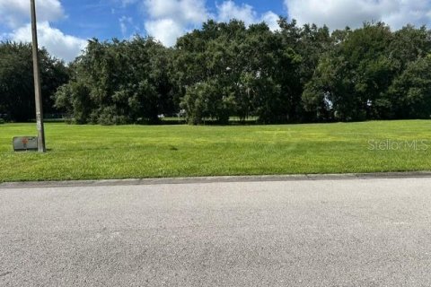 Terreno en venta en Polk City, Florida № 1367764 - foto 1