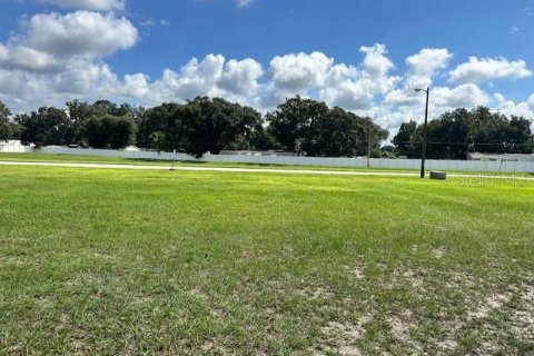 Land in Polk City, Florida № 1367764 - photo 2