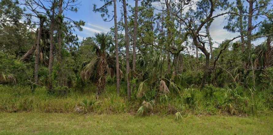 Terrain à Port Charlotte, Floride № 794852