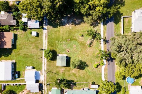 Land in Zephyrhills, Florida № 1264159 - photo 3