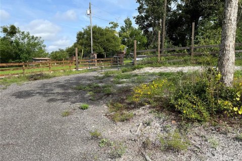 Land in Deltona, Florida № 1364044 - photo 2