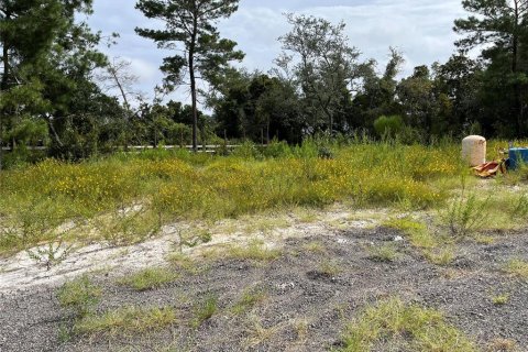 Terrain à vendre à Deltona, Floride № 1364044 - photo 8