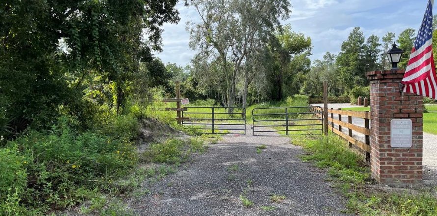 Terrain à Deltona, Floride № 1364044