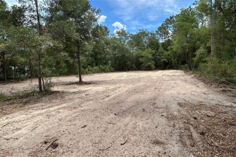 Terreno en venta en Dunnellon, Florida № 1246520 - foto 1