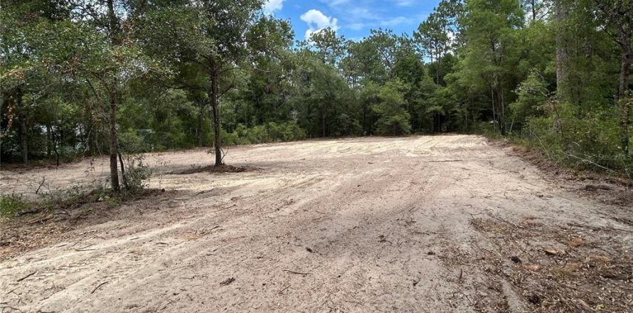 Terrain à Dunnellon, Floride № 1246520