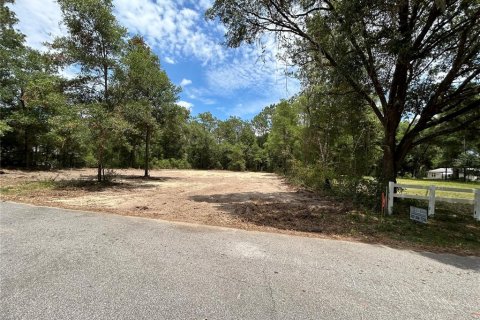 Terreno en venta en Dunnellon, Florida № 1246520 - foto 3