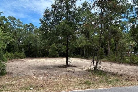 Terrain à vendre à Dunnellon, Floride № 1246520 - photo 2