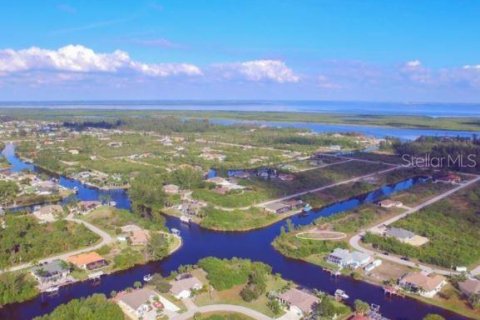 Land in Port Charlotte, Florida № 214994 - photo 7