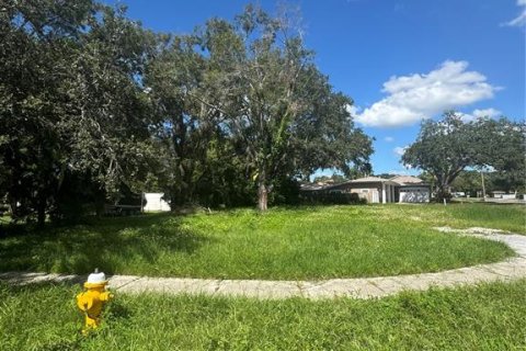 Terreno en venta en Oldsmar, Florida № 1376550 - foto 1