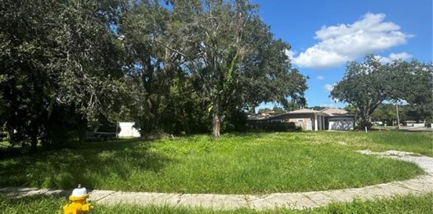 Terreno en Oldsmar, Florida № 1376550