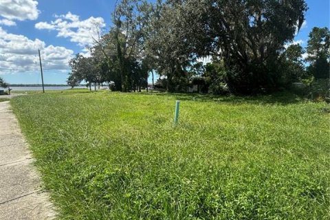 Terrain à vendre à Oldsmar, Floride № 1376550 - photo 2