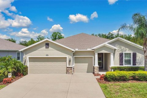 Villa ou maison à vendre à Wesley Chapel, Floride: 4 chambres, 263.84 m2 № 1300771 - photo 1