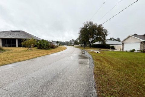Купить земельный участок в Палм-Кост, Флорида № 1017401 - фото 4