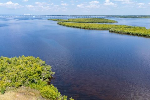 Land in Punta Gorda, Florida № 1196932 - photo 2