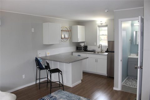 Apartamento en alquiler en Saint Petersburg, Florida, 1 dormitorio, 52.03 m2 № 1369586 - foto 12