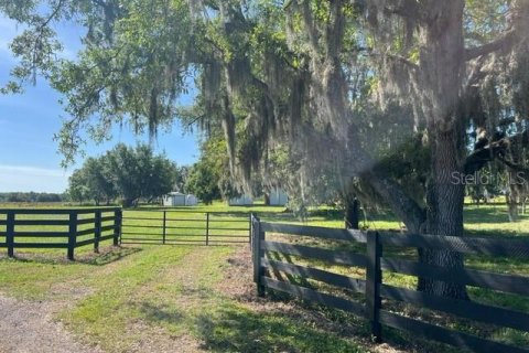 Terreno en venta en Clermont, Florida № 1364432 - foto 3