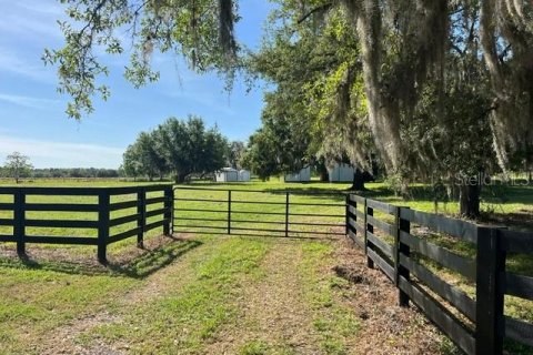 Terreno en venta en Clermont, Florida № 1364432 - foto 4